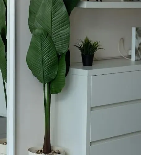 Deko Penthouse Apartamento